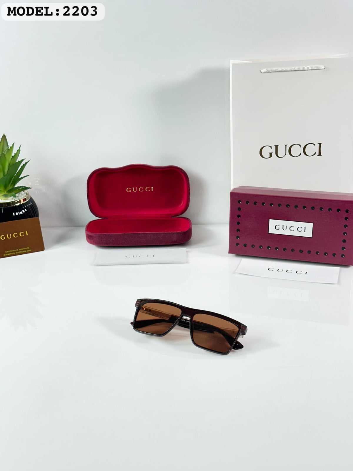 Guccii 2203 Brown