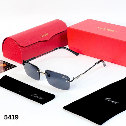 Cartierr 5419 Steel Black
