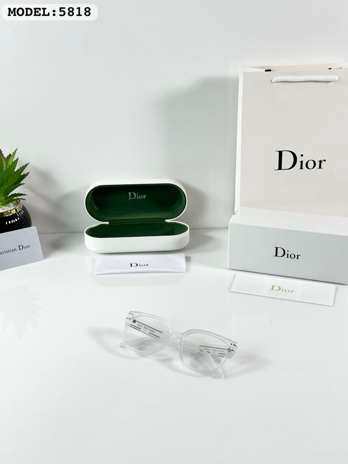Chriatian Dior 5818 Ice day