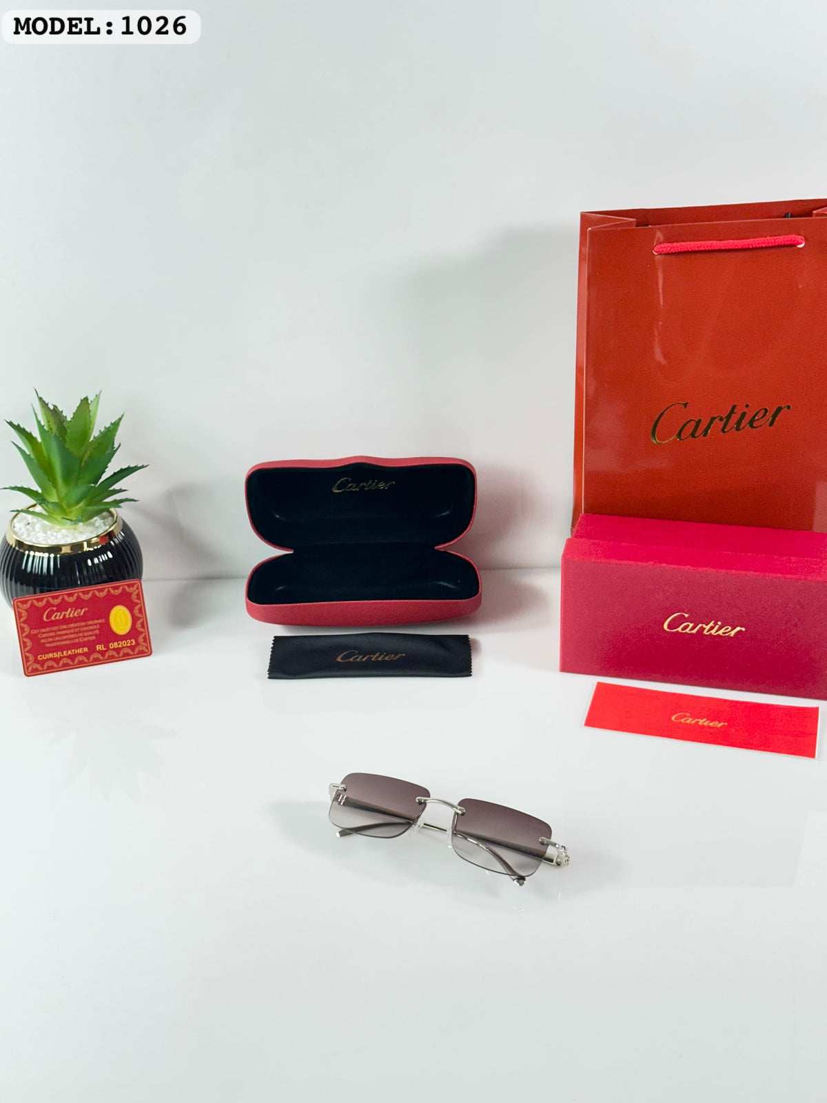 Cariterr 1029 Silver/Green