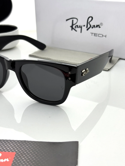 Rayy_Bann 0840 Mega Wayfarer