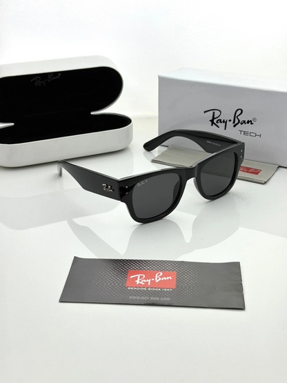 Rayy_Bann 0840 Mega Wayfarer